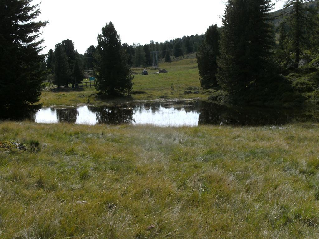 Privatpension Herta Sankt Georgen ob Murau Exterior foto